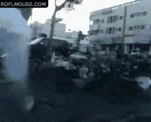 palomas,espantar,golpe,caer