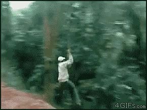 bosque,árboles,hostia,tirolina,selva