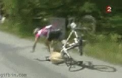 Ciclista,caída,perro
