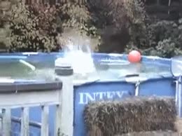 piscina,salto,baño