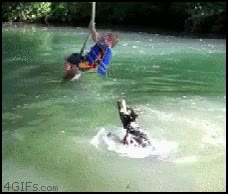 perro,niño,agua