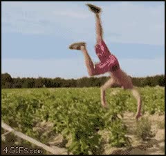 salto,mortal,escalera,fail