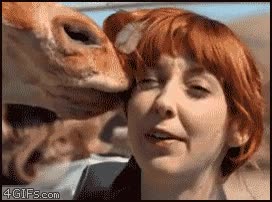 Girafa,Lengua,Chica,Saliva