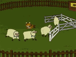 rebaño,ovejas,rana,animal,cabras