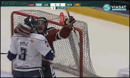 gol,celebrar,contrario,equipo,portero,hielo,hockey