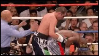 Boxeo,Celebración,Troll