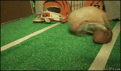 pelota,armadillo,futbol
