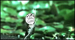 troll,insecto,rana