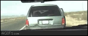 gente,ladrones,coche,saqueo