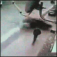 coche,salvado,por poco,accidente