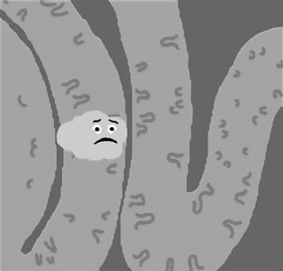 caca,mierda,ciclo,vida