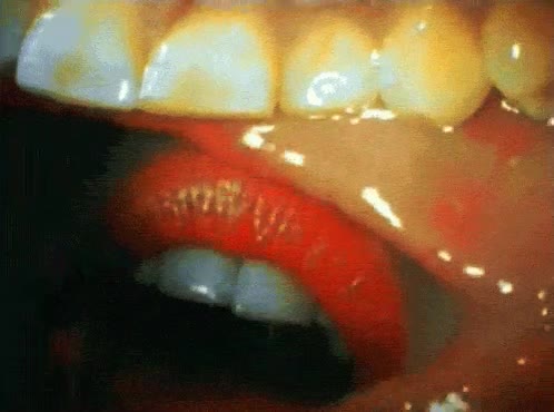 beso,dentro,boca,labios