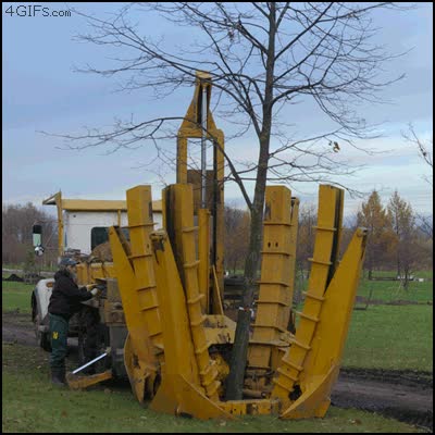 hombre,parque,grua,arbol