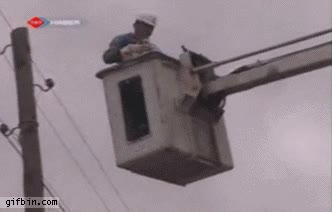 fail,caída,Gato,salvar,sí pero no