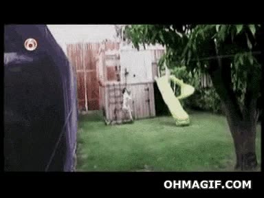 perro,chica,tirolina,transporte,vueltas