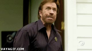 patada,chuck norris,policía