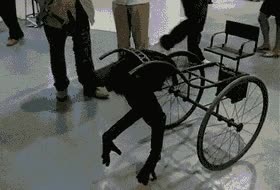 silla de ruedas,WTF,robot