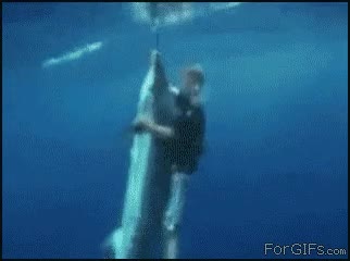 helicóptero,mar,pez,salto,pescar