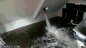 grifo,agua