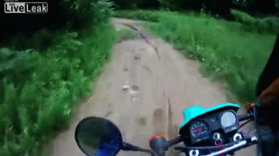 moto,conducir,camino,accidente,casi