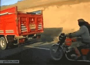 camión,motocicleta,oveja,robar