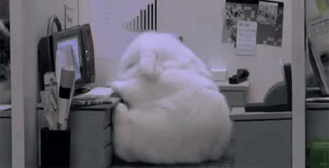 oficina,dormir