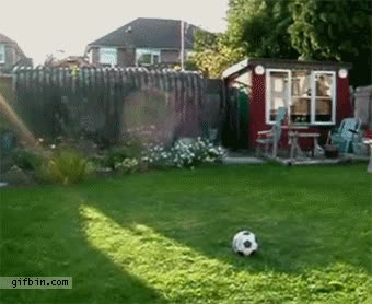 pelota,chuck norris,romper