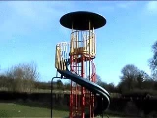 perro,divertido,tobogán