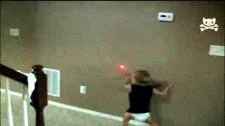 perseguir,seguir,pared,laser,niño,perro