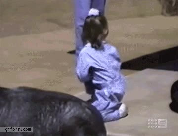niña,cabra,caída,doble fail,patosa,lila,pequeña,torpe