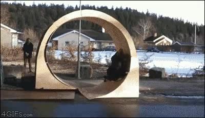 loop,carton,montar,360,skate