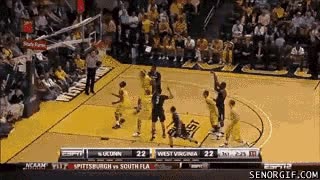pelota,partido,baloncesto,quedar,círculo,troll