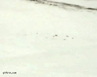 moto de nieve,hostia,nieve,fail