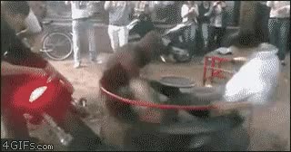 hostia,rueda,motocicleta,rapidez