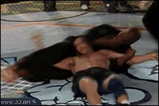 lucha libre,luchador,bestia