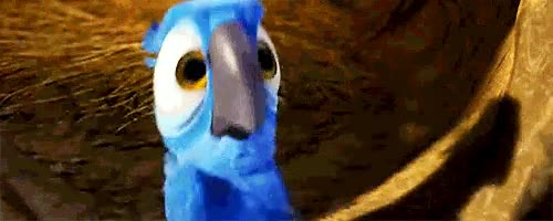 antivirus,avast,loro,azul,pájaro,gritar,asustar
