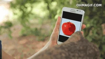 elefante,samsung galaxy,smartphone