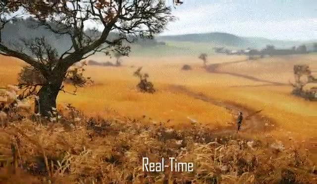 Bosque,Juegos,graficos,friki