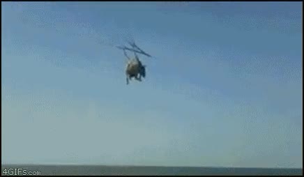 burro,volando,volador