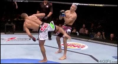 ufc,patada,chuck norris,pelea