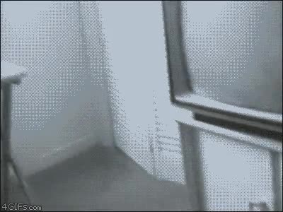 gato,decoración,destrozar