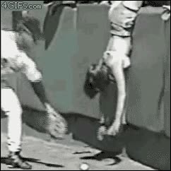 baseball,pelota,jugador,fan