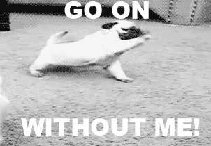 pizza,comer,perro,hambre