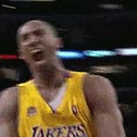 pájaro,juego,kobe bryant,angry birds