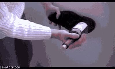 vino,Sin sacacorchos,zapato