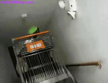 carrito,escaleras,fail,idiotas