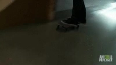 acuario,skate,monopatín