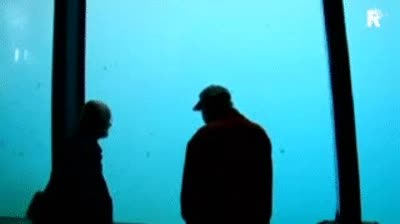 acuario,tocho,romperse,agua,fail