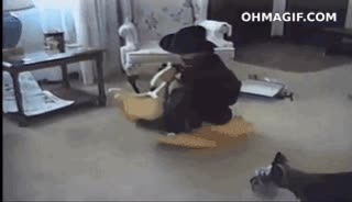 beb&eacute;,ni&ntilde;o,caerse,caballito