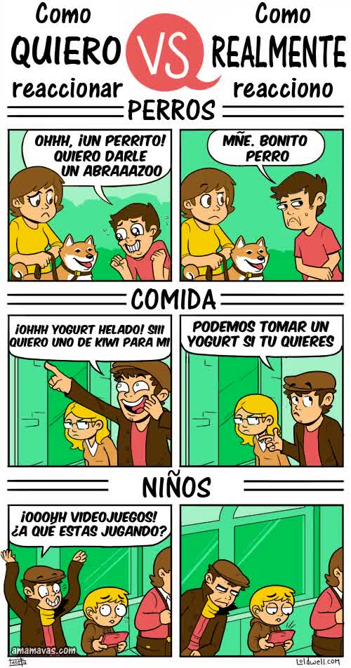 perro,kiwi,emoción,juego,apariencia
